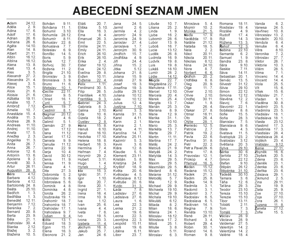 Nástěnný kalendář 2026 Plánovací karta