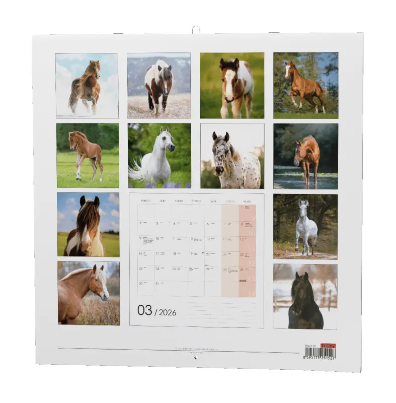 Nástěnný kalendář 2026 Koně