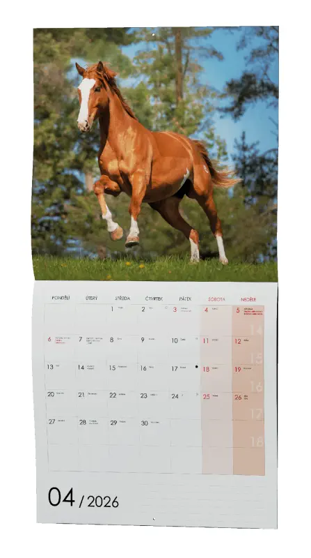 Nástěnný kalendář 2026 Koně