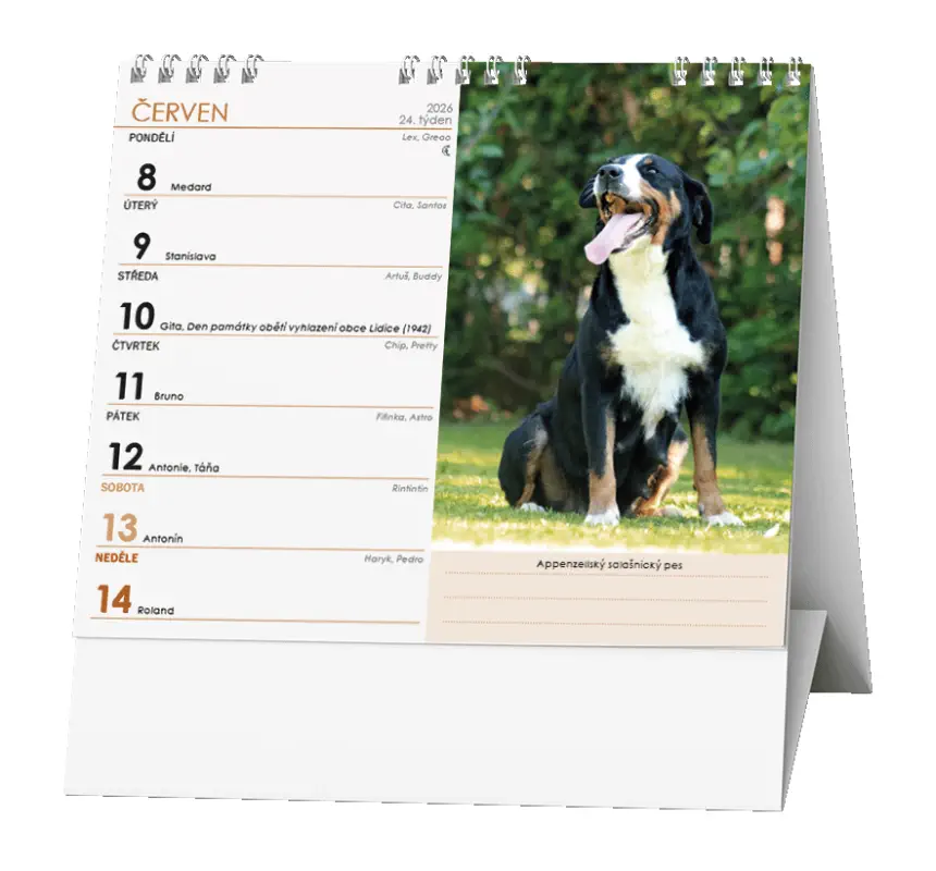 Stolní kalendář 2026 IDEÁL - Pes - věrný přítel /s psími jmény/