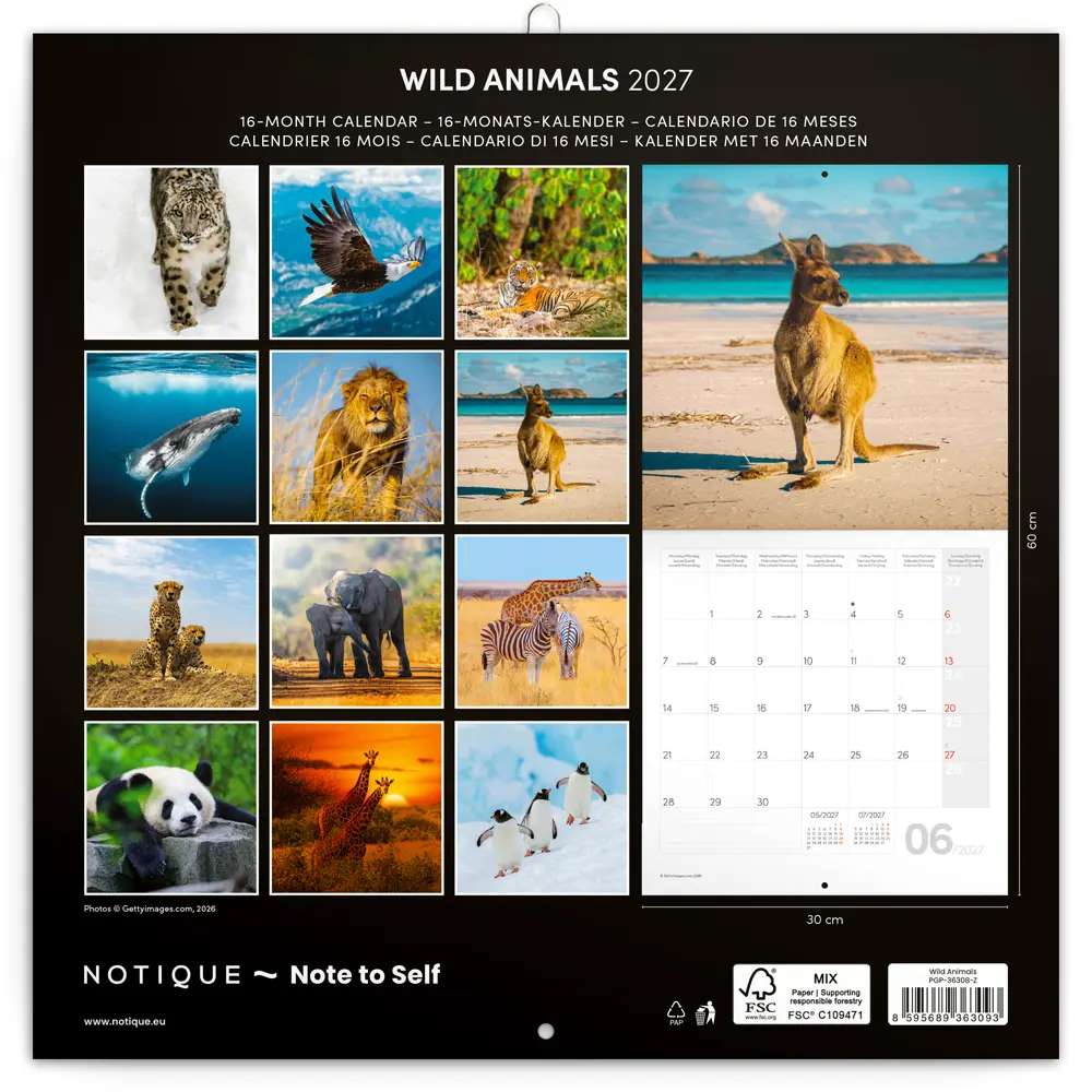 NOTIQUE Grid calendar Wild Animals 2027, 30 x 30 cm