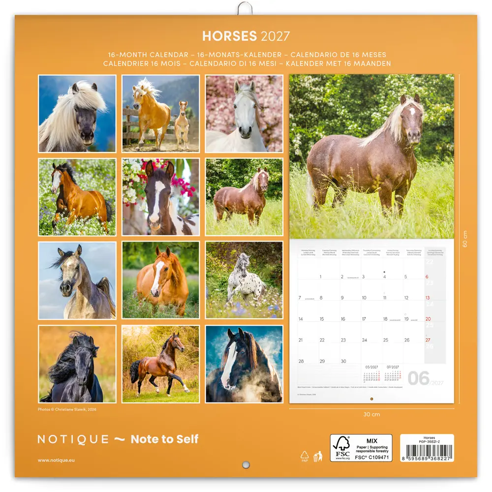 NOTIQUE Grid calendar Horses – Christiane Slawik 2027, 30 x 30 cm