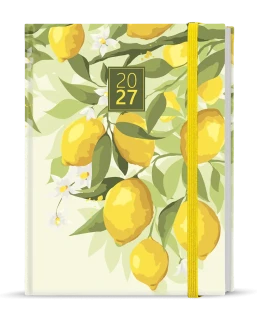 Diář 2027 Denní diář - Adam - Lamino - B6 - Citron