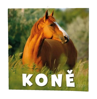 Nástěnný kalendář 2027 Nástěnný kalendář - Koně