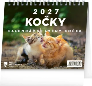NOTIQUE Stolní kalendář Kočky – se jmény koček 2027, 16,5 x 13 cm
