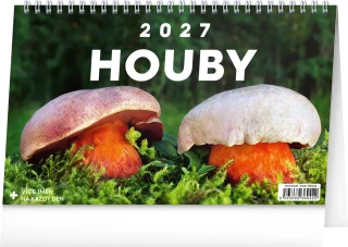 NOTIQUE Stolní kalendář Houby 2027, 23,1 x 14,5 cm