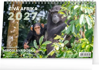 NOTIQUE Stolní kalendář Živá Afrika 2027, 23,1 x 14,5 cm