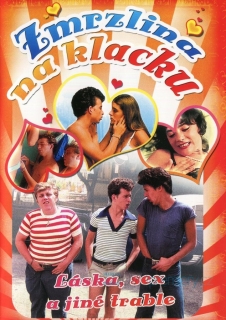 Zmrzlina na klacku DVD