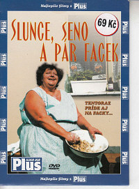 Slunce, seno a  pár facek / v papíru