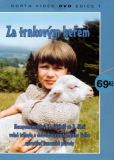 Za trnkovým keřem DVD