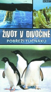 Život v divočině DVD 6 - Pobřeží tučňáků