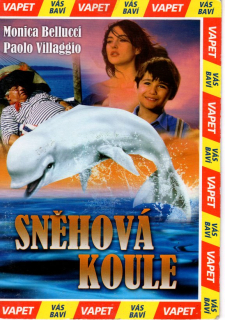 Sněhová koule DVD