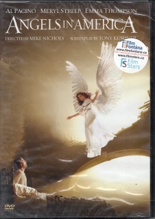 Andělé v Americe 2DVD