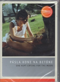Pásla kone na betóne DVD