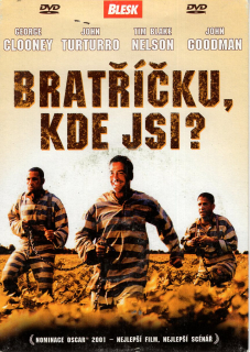 Bratříčku, kde jsi? DVD