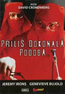 Příliš dokonalá podoba DVD
