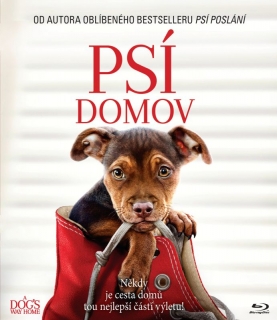 Psí domov BD