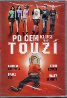 Po čem kluci touží? DVD