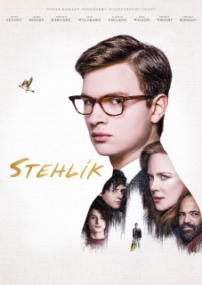 Stehlík DVD