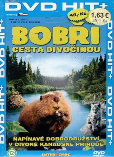 Bobří cesta divočinou DVD