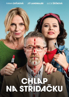 Chlap na střídačku DVD