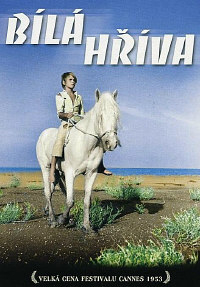 Bílá hříva DVD