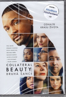 Collateral Beauty: Druhá šance