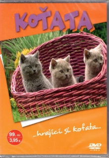 Koťata DVD