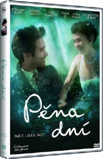 Pěna dní