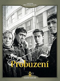 Probuzení / slim